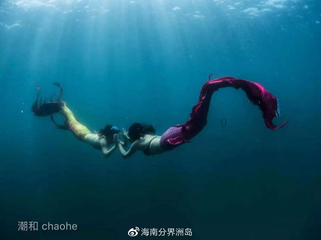 怀孕梦见吃了白天鹅，是男孩女孩？游戏画面